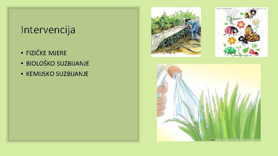 Intervencija • FIZIČKE MJERE • BIOLOŠKO SUZBIJANJE • KEMIJSKO SUZBIJANJE 