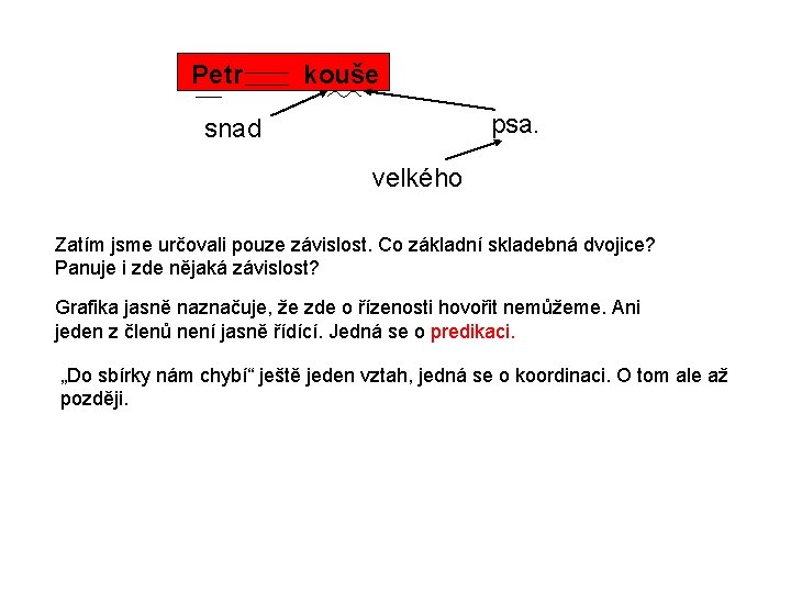 Petr kouše psa. snad velkého Zatím jsme určovali pouze závislost. Co základní skladebná dvojice?