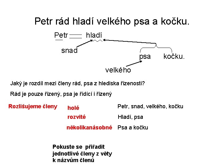 Petr rád hladí velkého psa a kočku. Petr hladí snad psa kočku. velkého Jaký