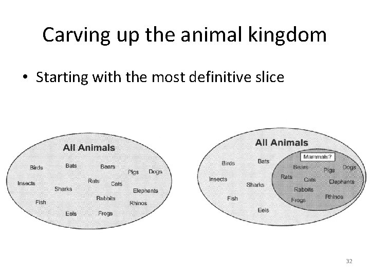 Carving up the animal kingdom • Starting with the most definitive slice 32 