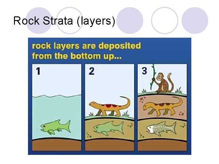 Rock Strata (layers) Slide 15 of 41 