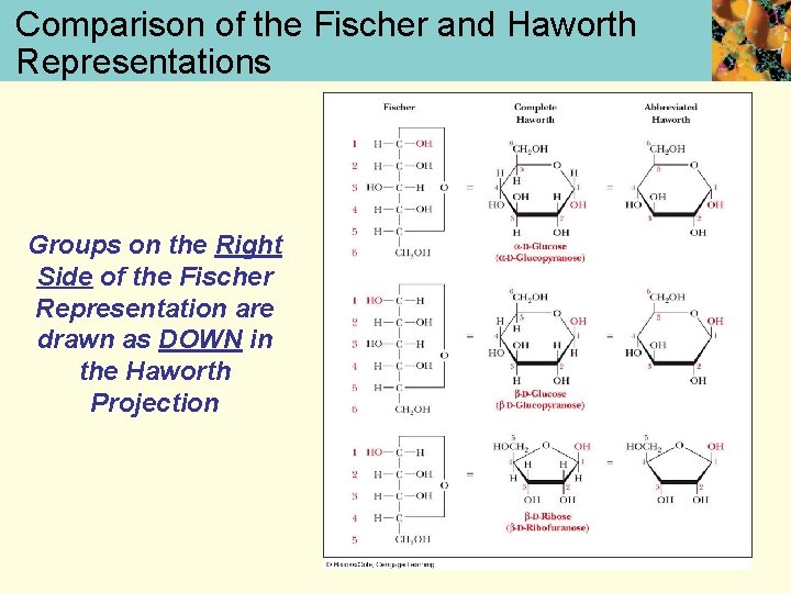Comparison of the Fischer and Haworth Representations Groups on the Right Side of the
