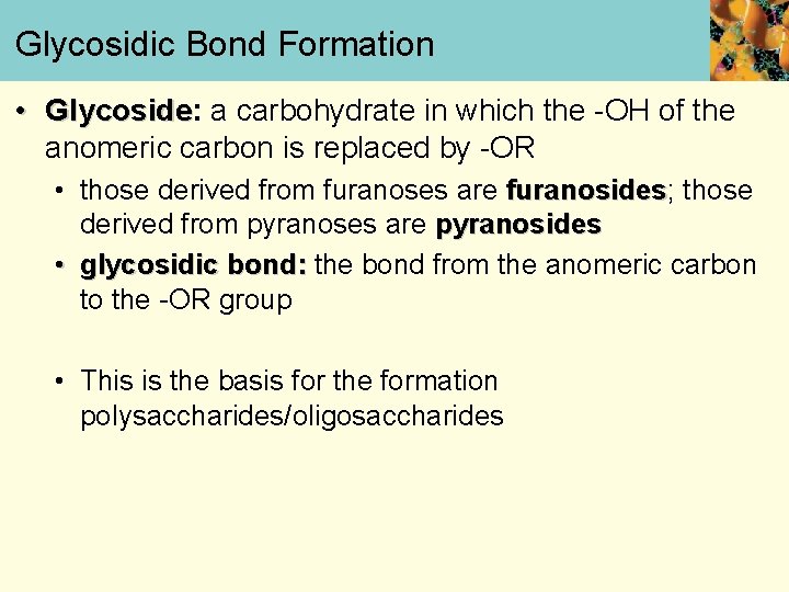 Glycosidic Bond Formation • Glycoside: Glycoside a carbohydrate in which the -OH of the