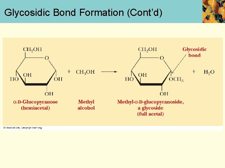 Glycosidic Bond Formation (Cont’d) 