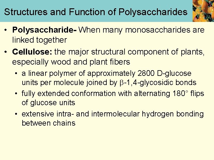 Structures and Function of Polysaccharides • Polysaccharide- When many monosaccharides are linked together •