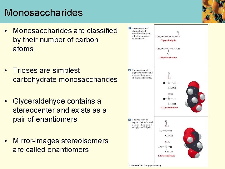 Monosaccharides • Monosaccharides are classified by their number of carbon atoms • Trioses are
