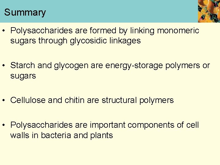 Summary • Polysaccharides are formed by linking monomeric sugars through glycosidic linkages • Starch