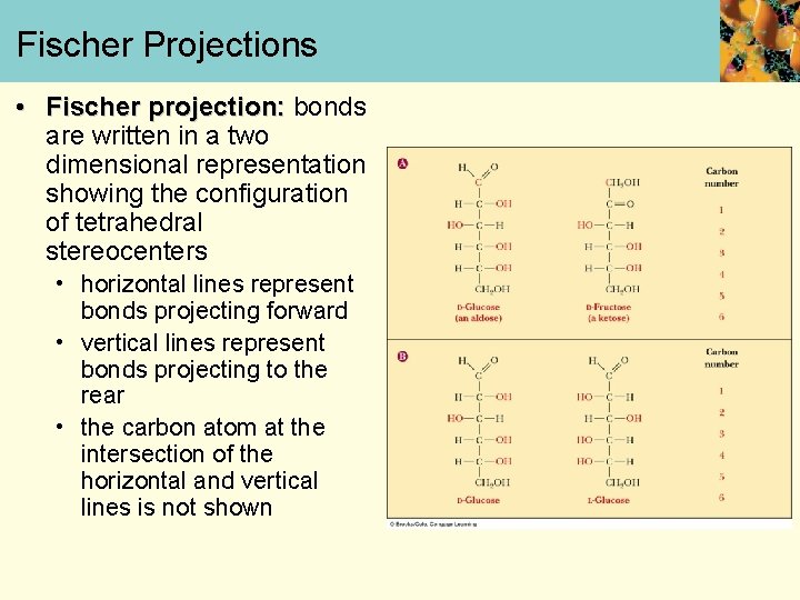 Fischer Projections • Fischer projection: bonds are written in a two dimensional representation showing