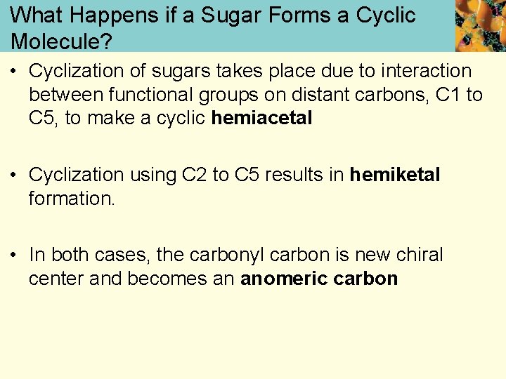 What Happens if a Sugar Forms a Cyclic Molecule? • Cyclization of sugars takes