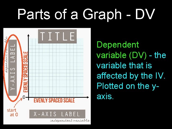 Parts of a Graph - DV Dependent variable (DV) - the variable that is Parts of a Graph - DV Dependent variable (DV) - the variable that is