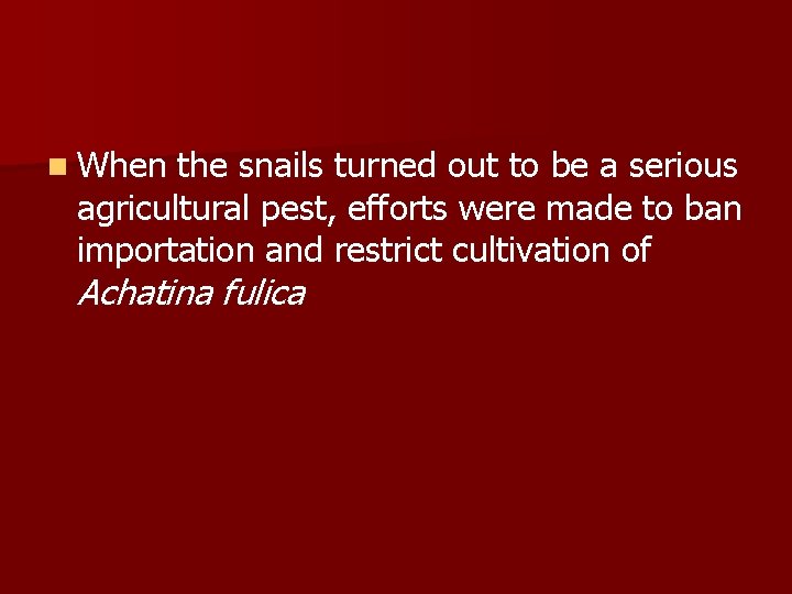 n When the snails turned out to be a serious agricultural pest, efforts were n When the snails turned out to be a serious agricultural pest, efforts were