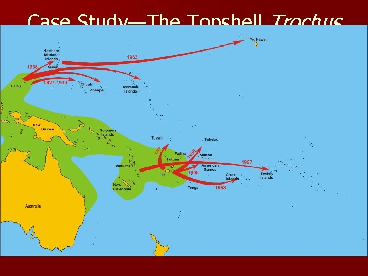 Case Study—The Topshell Trochus niloticus n Not all introductions cause noticeable disruptions in natural Case Study—The Topshell Trochus niloticus n Not all introductions cause noticeable disruptions in natural