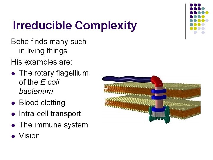 Irreducible Complexity Behe finds many such in living things. His examples are: l The