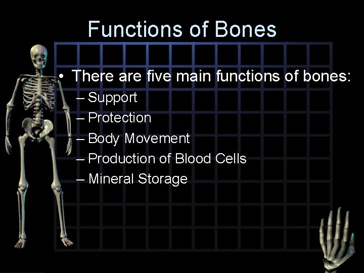 Functions of Bones • There are five main functions of bones: – Support –