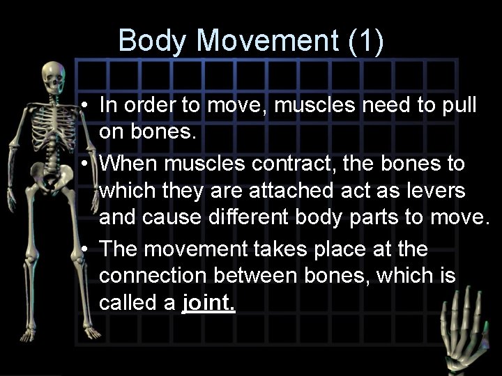 Body Movement (1) • In order to move, muscles need to pull on bones.