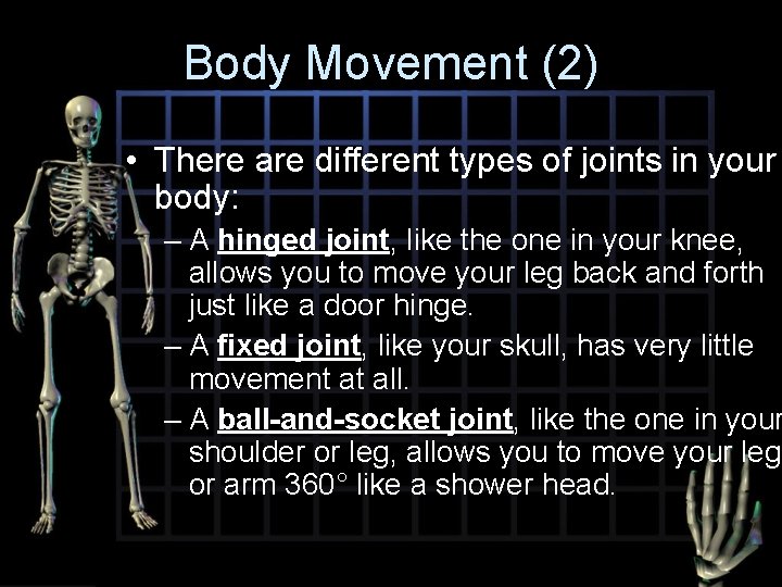 Body Movement (2) • There are different types of joints in your body: –