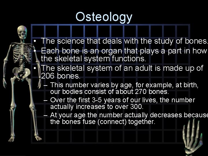 Osteology • The science that deals with the study of bones. • Each bone