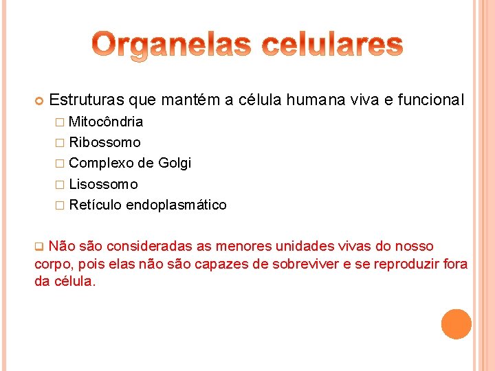  Estruturas que mantém a célula humana viva e funcional � Mitocôndria � Ribossomo