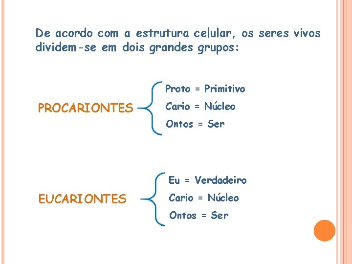 De acordo com a estrutura celular, os seres vivos dividem-se em dois grandes grupos: