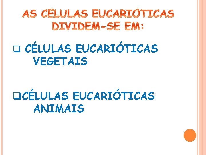 q CÉLULAS EUCARIÓTICAS VEGETAIS q. CÉLULAS EUCARIÓTICAS ANIMAIS 