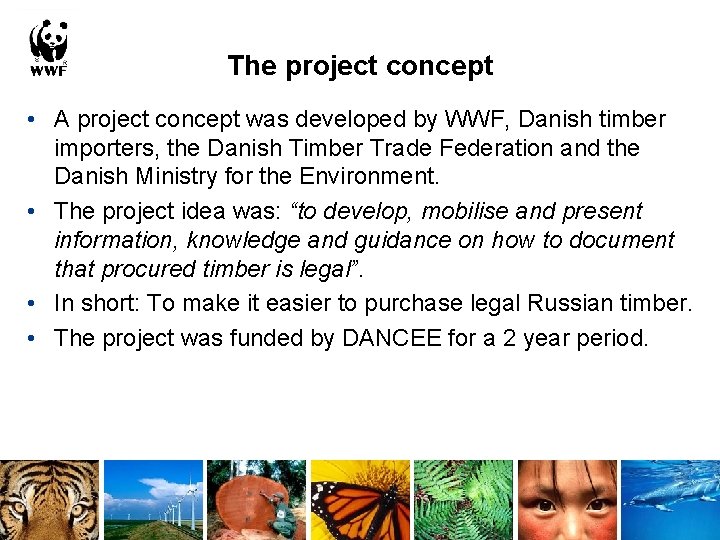The project concept • A project concept was developed by WWF, Danish timber importers,