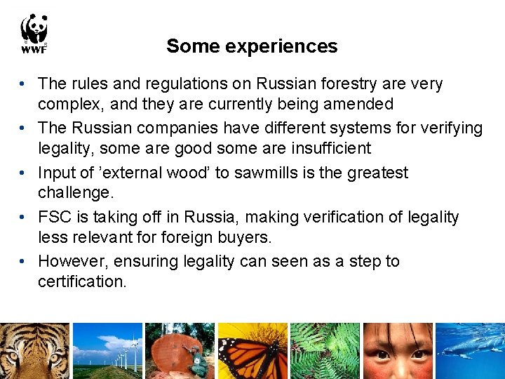 Some experiences • The rules and regulations on Russian forestry are very complex, and
