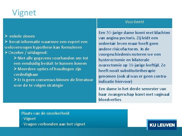 Vignet Voorbeeld Ø enkele zinnen Ø bevat informatie waarmee een expert een weloverwogen hypothese