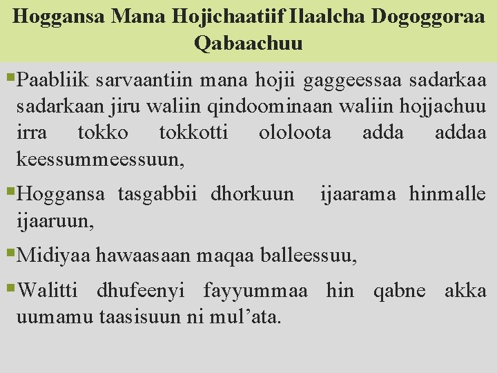 Hoggansa Mana Hojichaatiif Ilaalcha Dogoggoraa Qabaachuu §Paabliik sarvaantiin mana hojii gaggeessaa sadarkaan jiru waliin