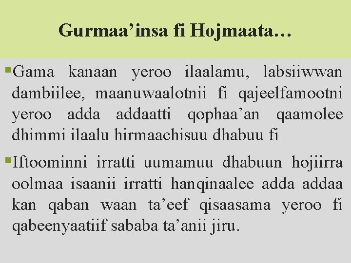 Gurmaa’insa fi Hojmaata… §Gama kanaan yeroo ilaalamu, labsiiwwan dambiilee, maanuwaalotnii fi qajeelfamootni yeroo addaatti