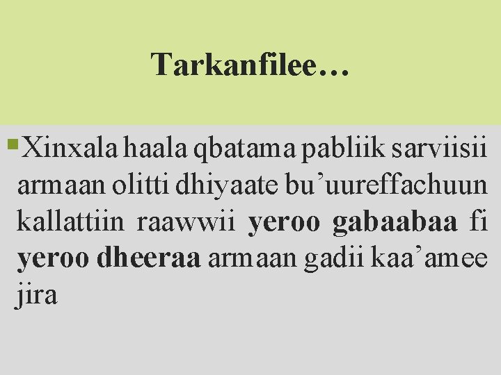 Tarkanfilee… §Xinxala haala qbatama pabliik sarviisii armaan olitti dhiyaate bu’uureffachuun kallattiin raawwii yeroo gabaabaa