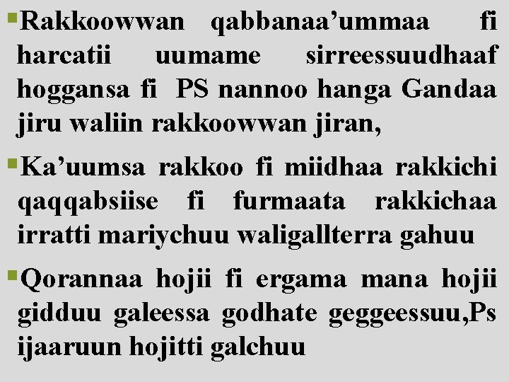 §Rakkoowwan qabbanaa’ummaa fi harcatii uumame sirreessuudhaaf hoggansa fi PS nannoo hanga Gandaa jiru waliin