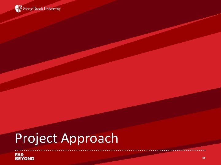 ‘ Project Approach 11 