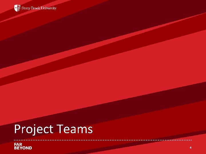 ‘ Project Teams 4 