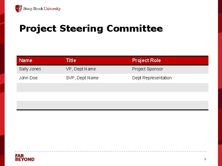 Project Steering Committee Name Title Project Role Sally Jones VP, Dept Name Project Sponsor