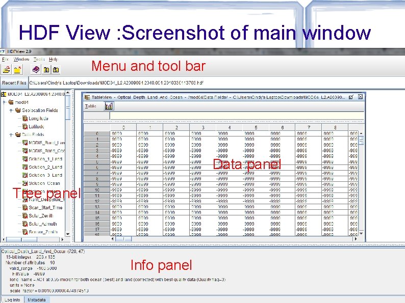 HDF View : Screenshot of main window Menu and tool bar Data panel Tree
