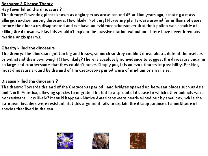 Resource 3 Disease Theory Hay fever killed the dinosaurs ? The theory: Flowering plants