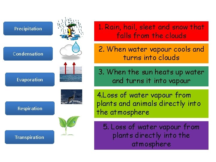Precipitation 1. Rain, hail, sleet and snow that falls from the clouds Condensation 2.