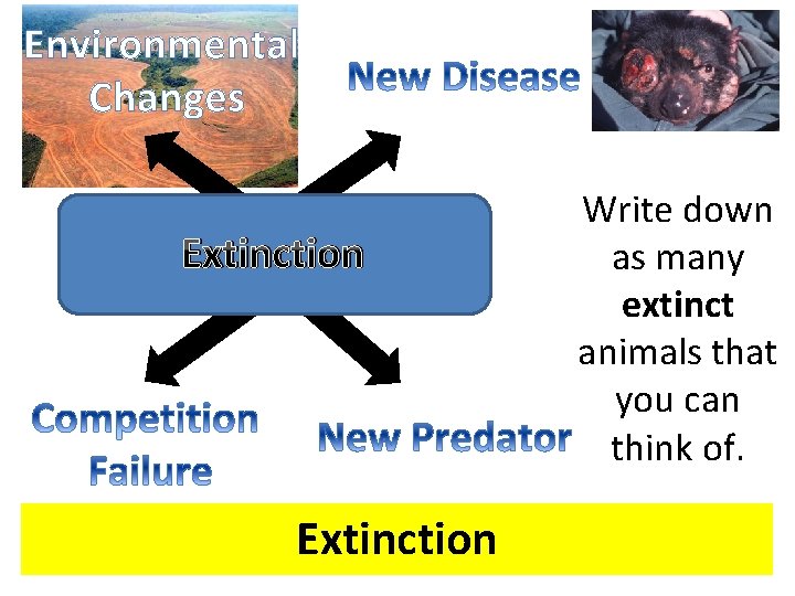 Environmental Changes Extinction Write down as many extinct animals that you can think of.