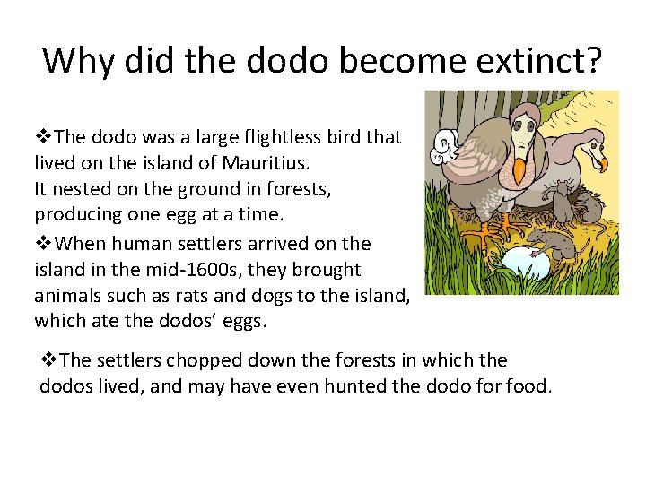 Why did the dodo become extinct? v. The dodo was a large flightless bird
