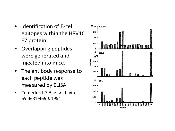  • Identification of B-cell epitopes within the HPV 16 E 7 protein. •