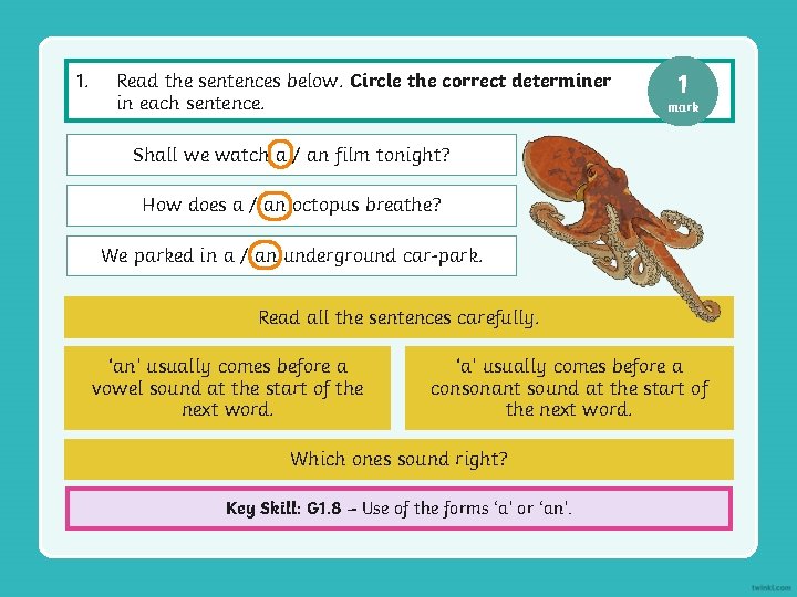 1. Read the sentences below. Circle the correct determiner in each sentence. 1 mark