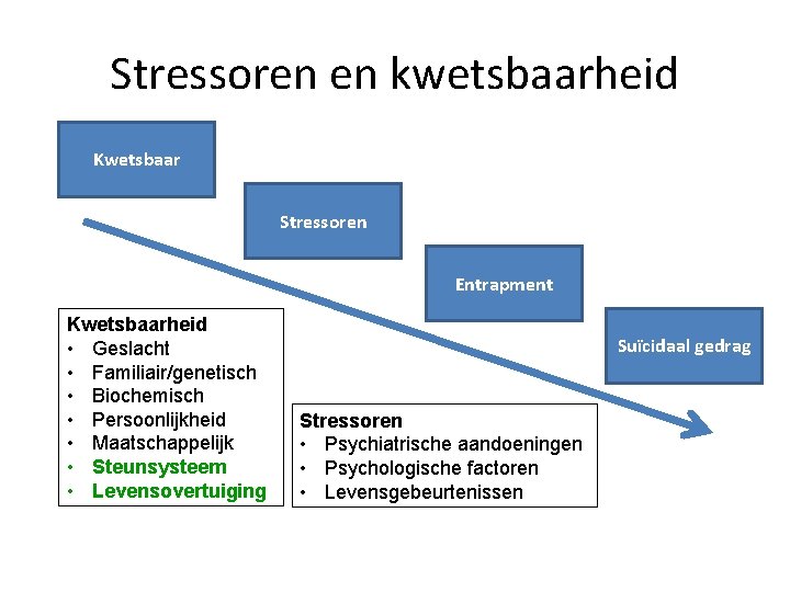 Stressoren en kwetsbaarheid Kwetsbaar Stressoren Entrapment Kwetsbaarheid • Geslacht • Familiair/genetisch • Biochemisch •