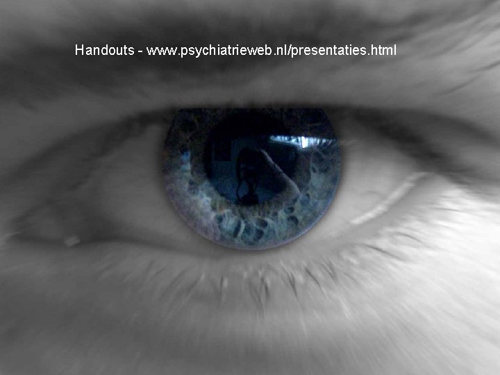Handouts - www. psychiatrieweb. nl/presentaties. html 