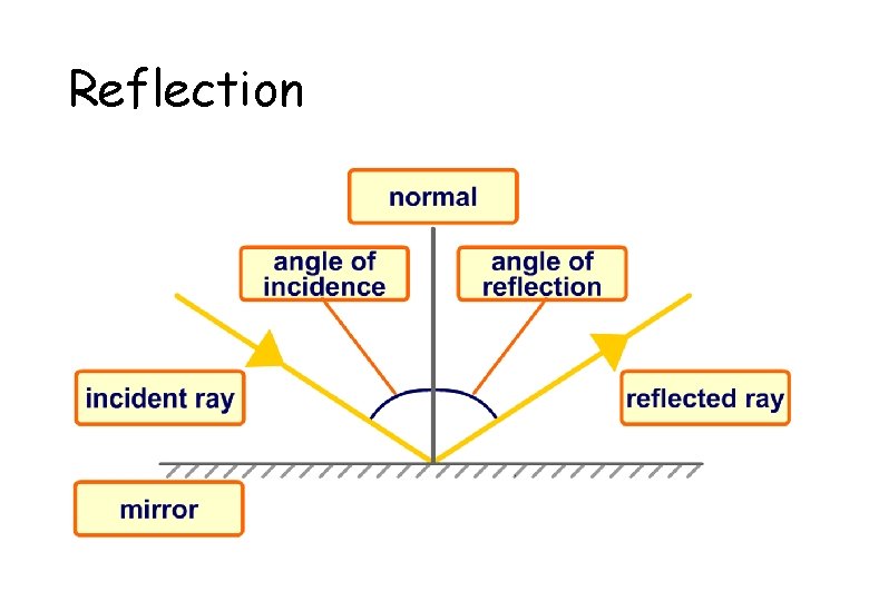 Reflection Reflection