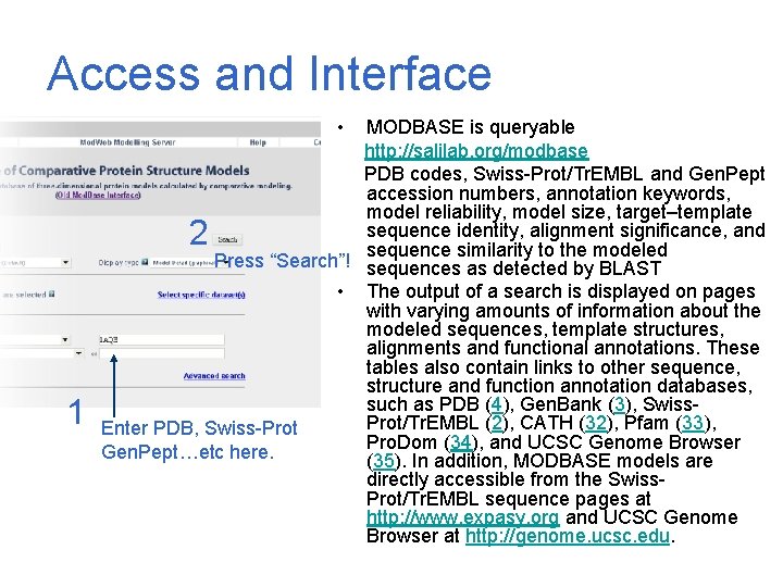 Access and Interface • MODBASE is queryable http: //salilab. org/modbase PDB codes, Swiss-Prot/Tr. EMBL