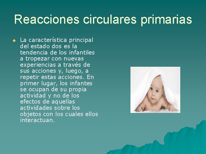 Reacciones circulares primarias u La característica principal del estado dos es la tendencia de