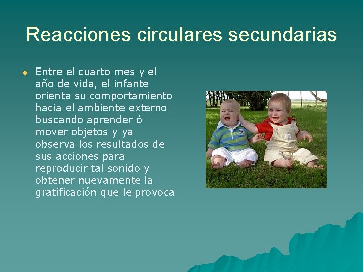 Reacciones circulares secundarias u Entre el cuarto mes y el año de vida, el