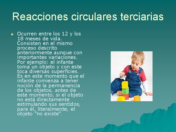 Reacciones circulares terciarias u Ocurren entre los 12 y los 18 meses de vida.