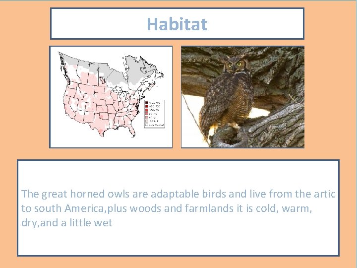 Habitat Map showing where your animal lives Picture showing your animal in its habitat.