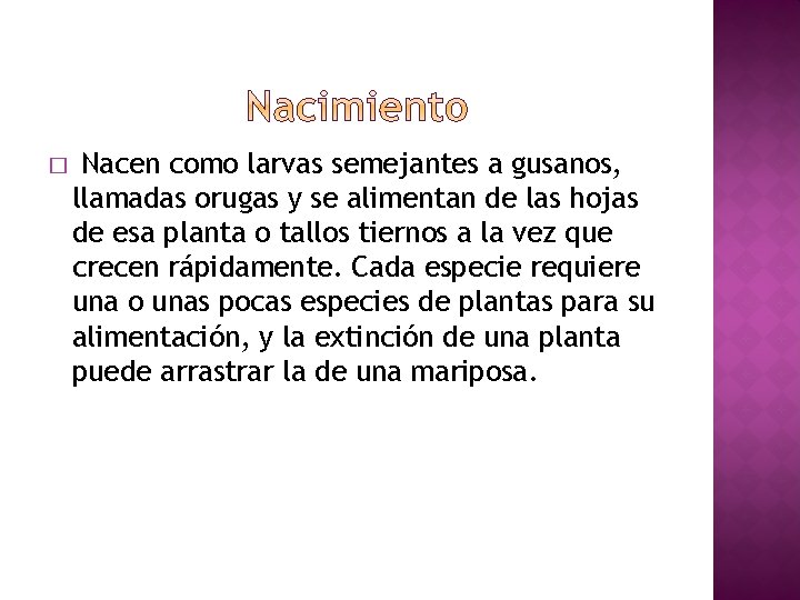 � Nacen como larvas semejantes a gusanos, llamadas orugas y se alimentan de las